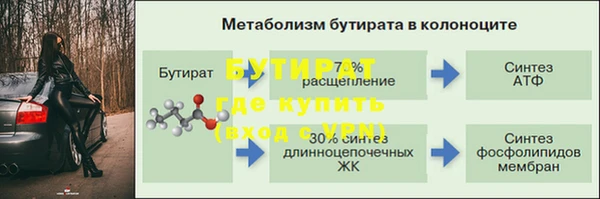 стафф Богданович